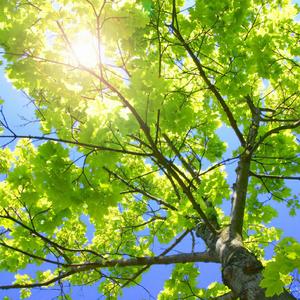 女人被猛男躁120分钟
